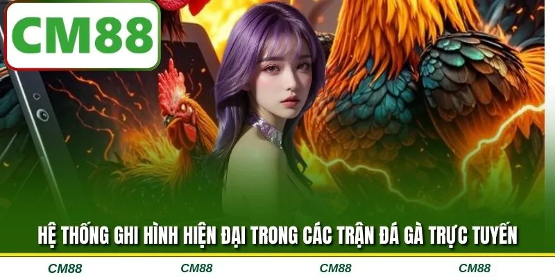 Hệ thống ghi hình hiện đại trong các trận đá gà trực tuyến
