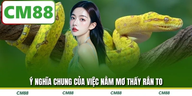 Ý nghĩa chung của việc nằm mơ thấy rắn to